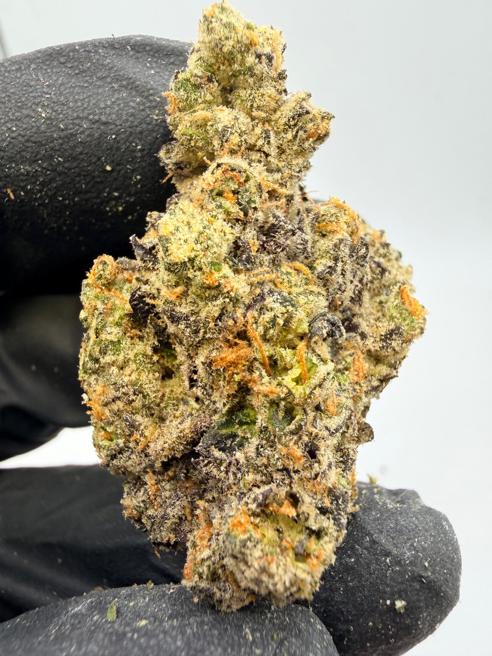 Blackberry Octane Digital Art