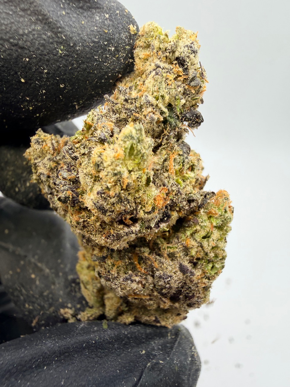 Blackberry Octane Digital Art - Image 6