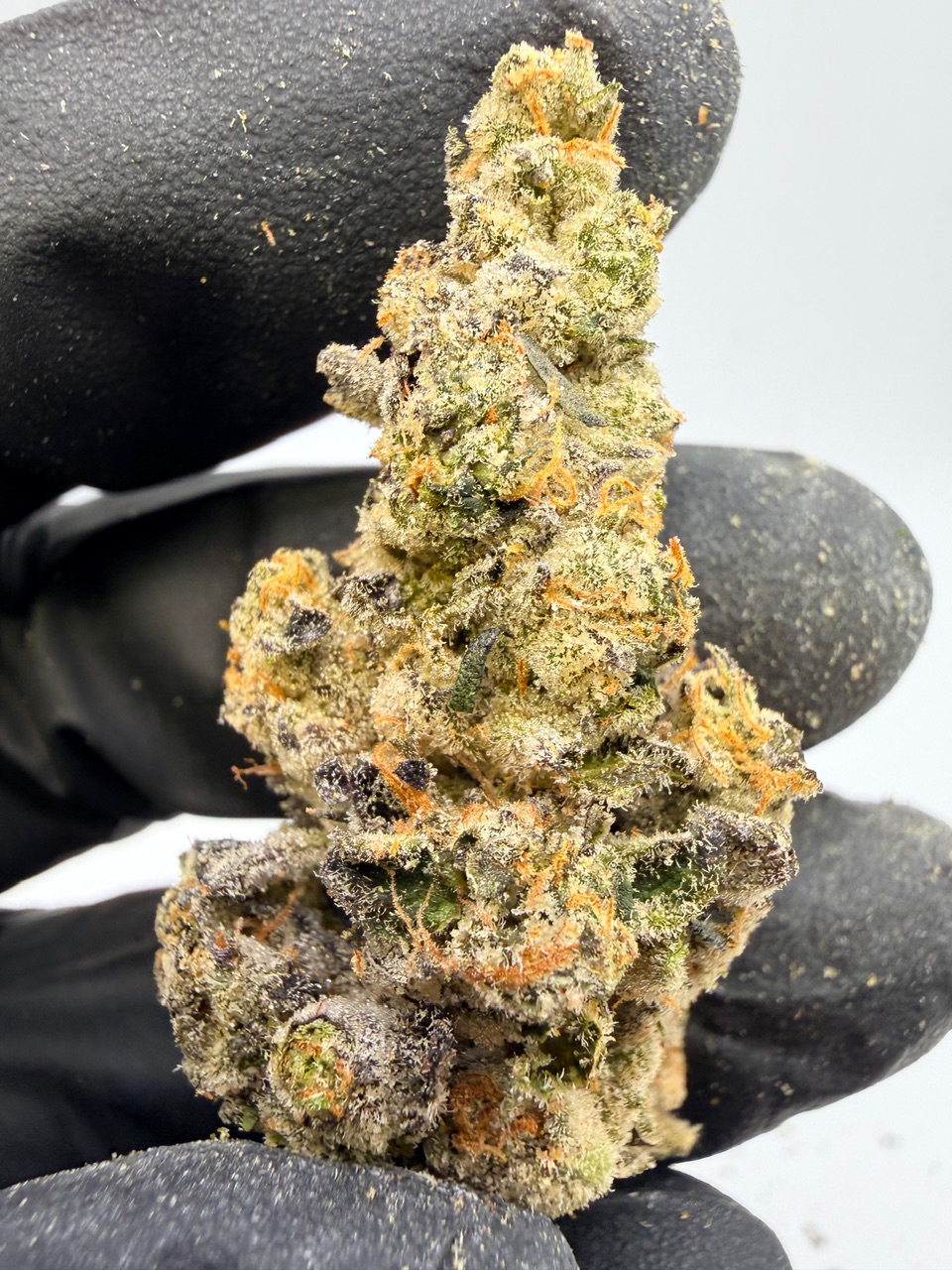 Blackberry Octane Digital Art - Image 5