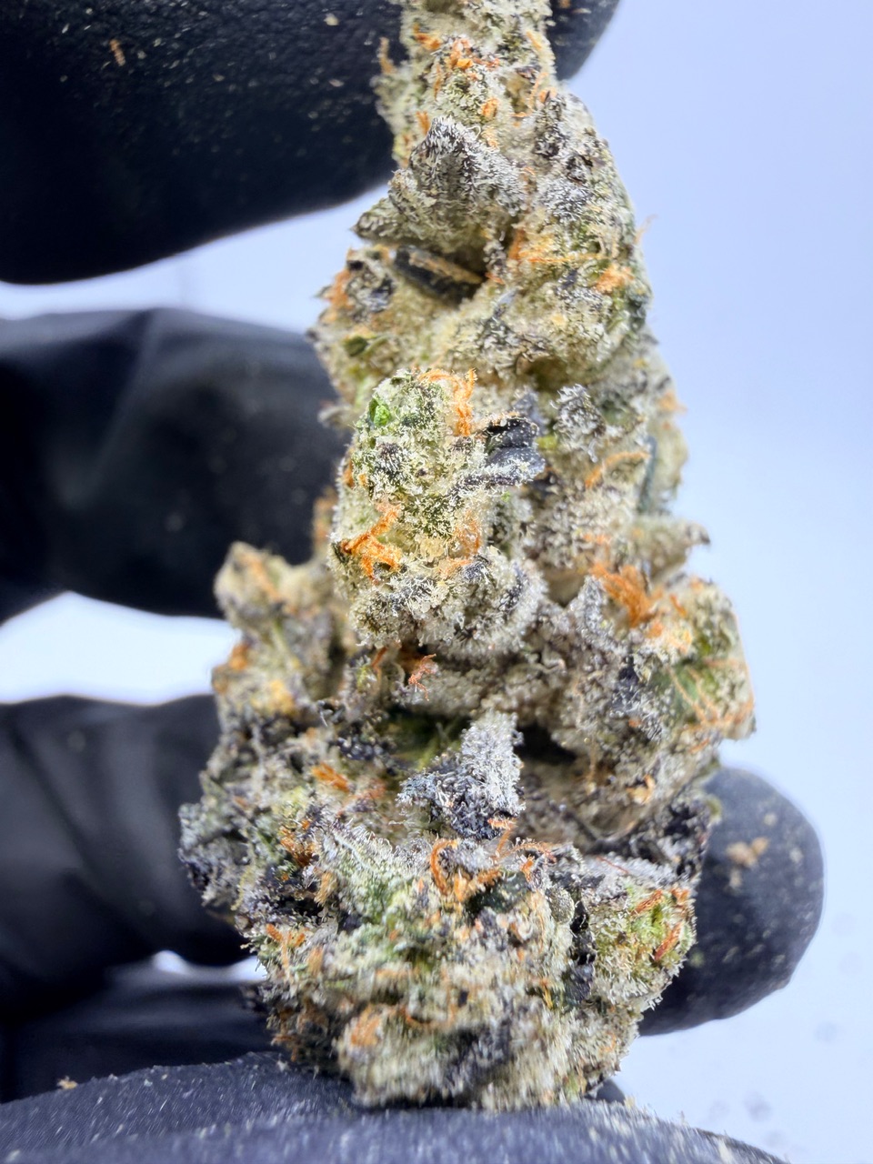 Blackberry Octane Digital Art - Image 7