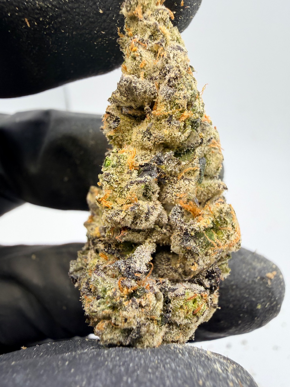 Blackberry Octane Digital Art - Image 8