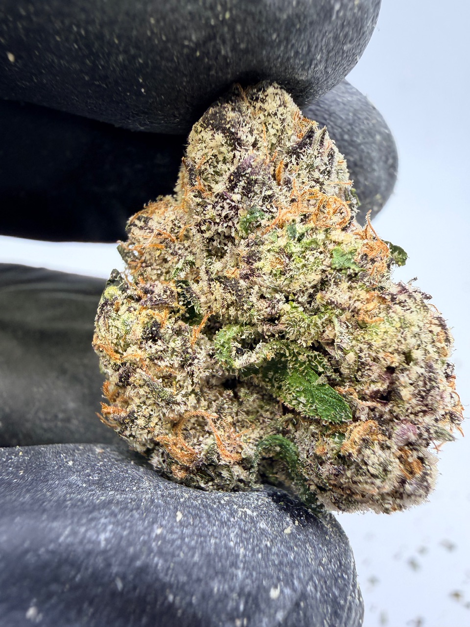 Super Runtz Digital Art