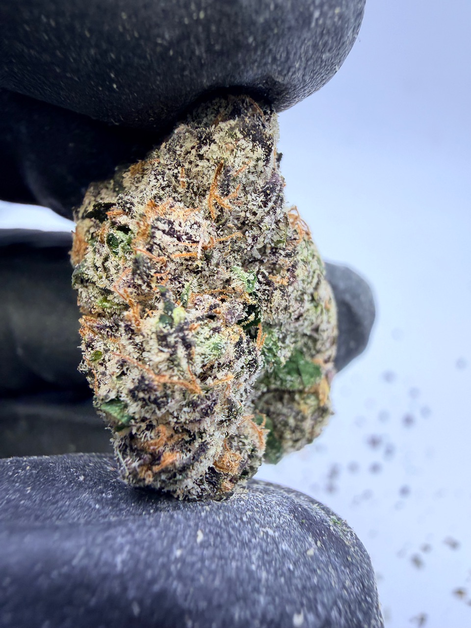 Super Runtz Digital Art - Image 3