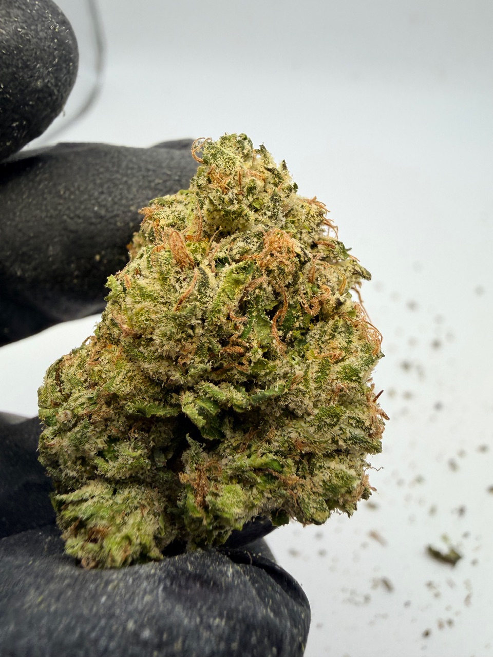 Marty Mchigh Digital Art - Image 2