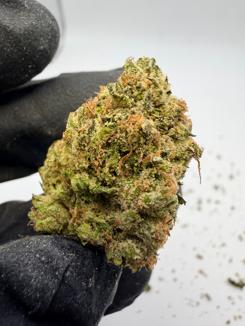 Marty Mchigh Digital Art - Image 3