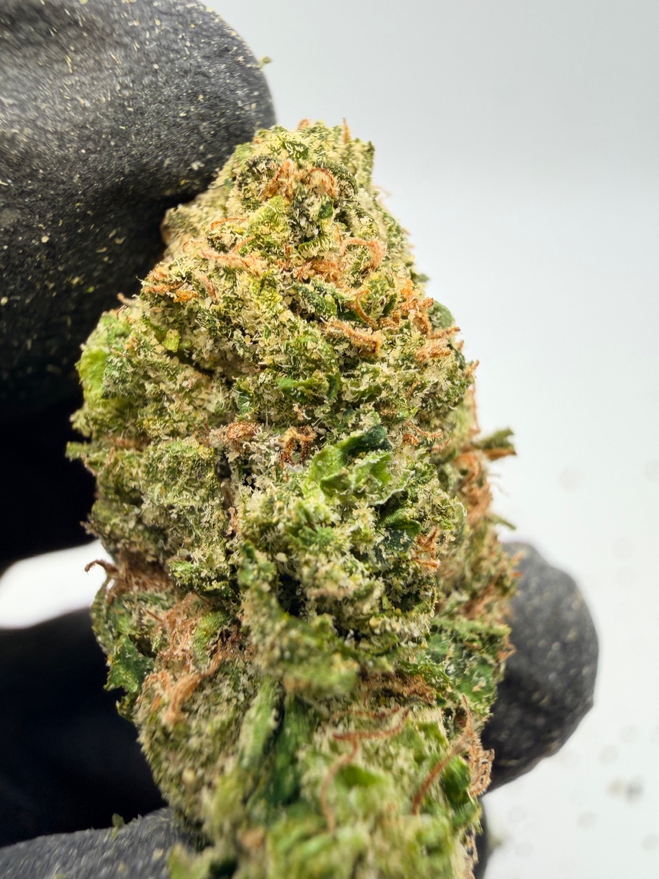 Marty Mchigh Digital Art - Image 6