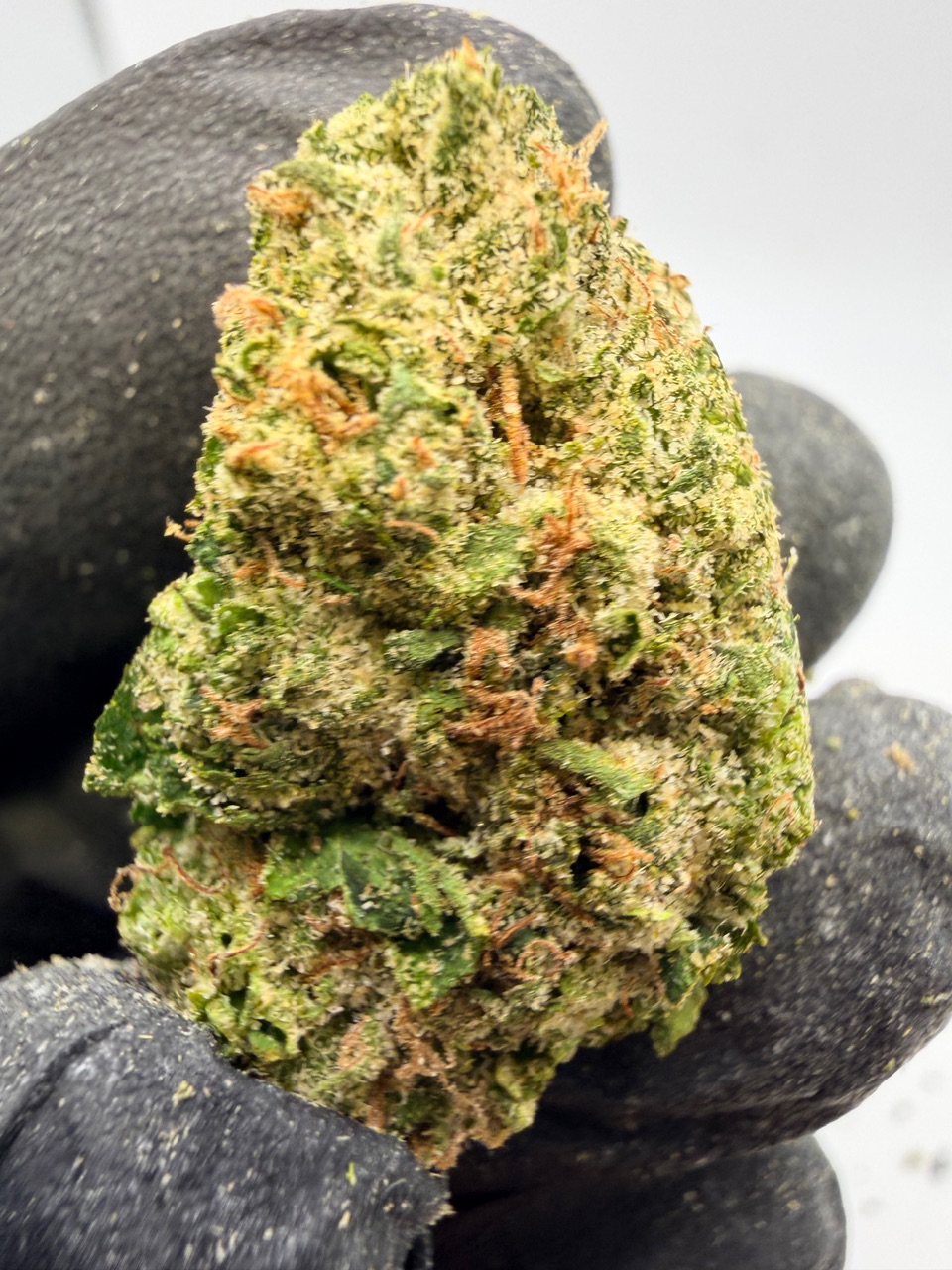 Marty Mchigh Digital Art