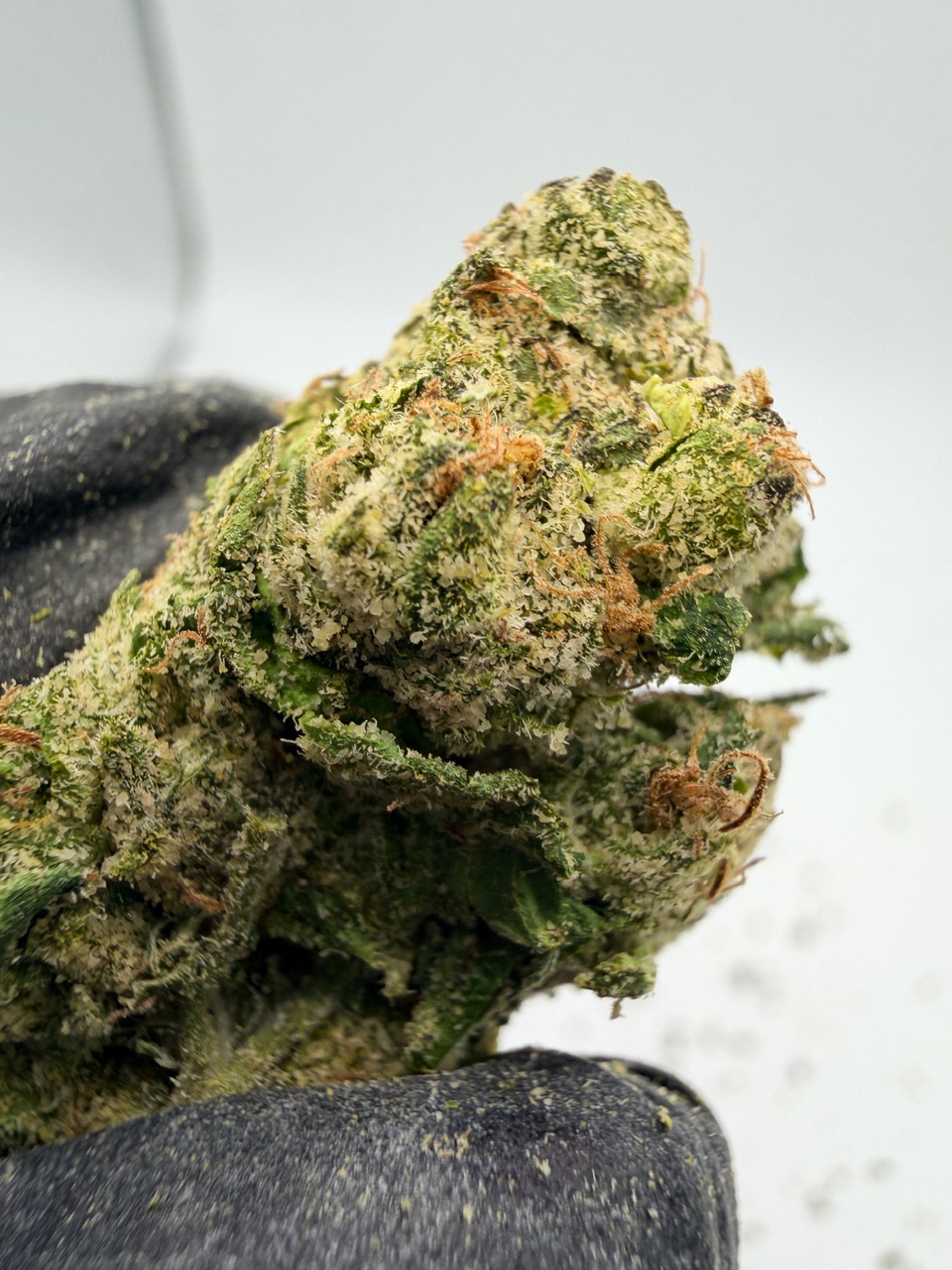 Marty Mchigh Digital Art - Image 4