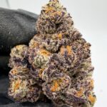 Biscotti Gushers Digital Art