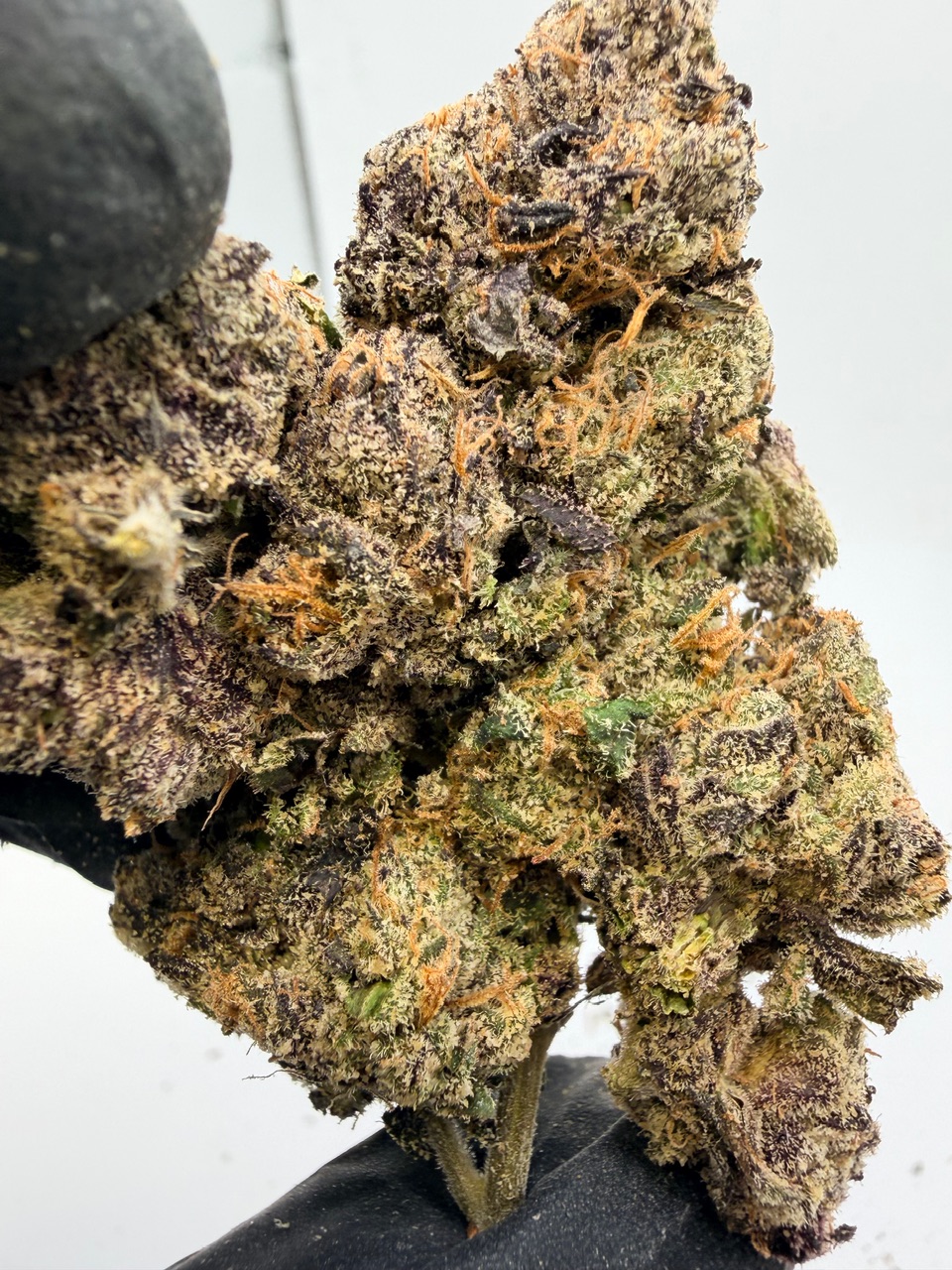 Fryday Kush Digital Art - Image 4