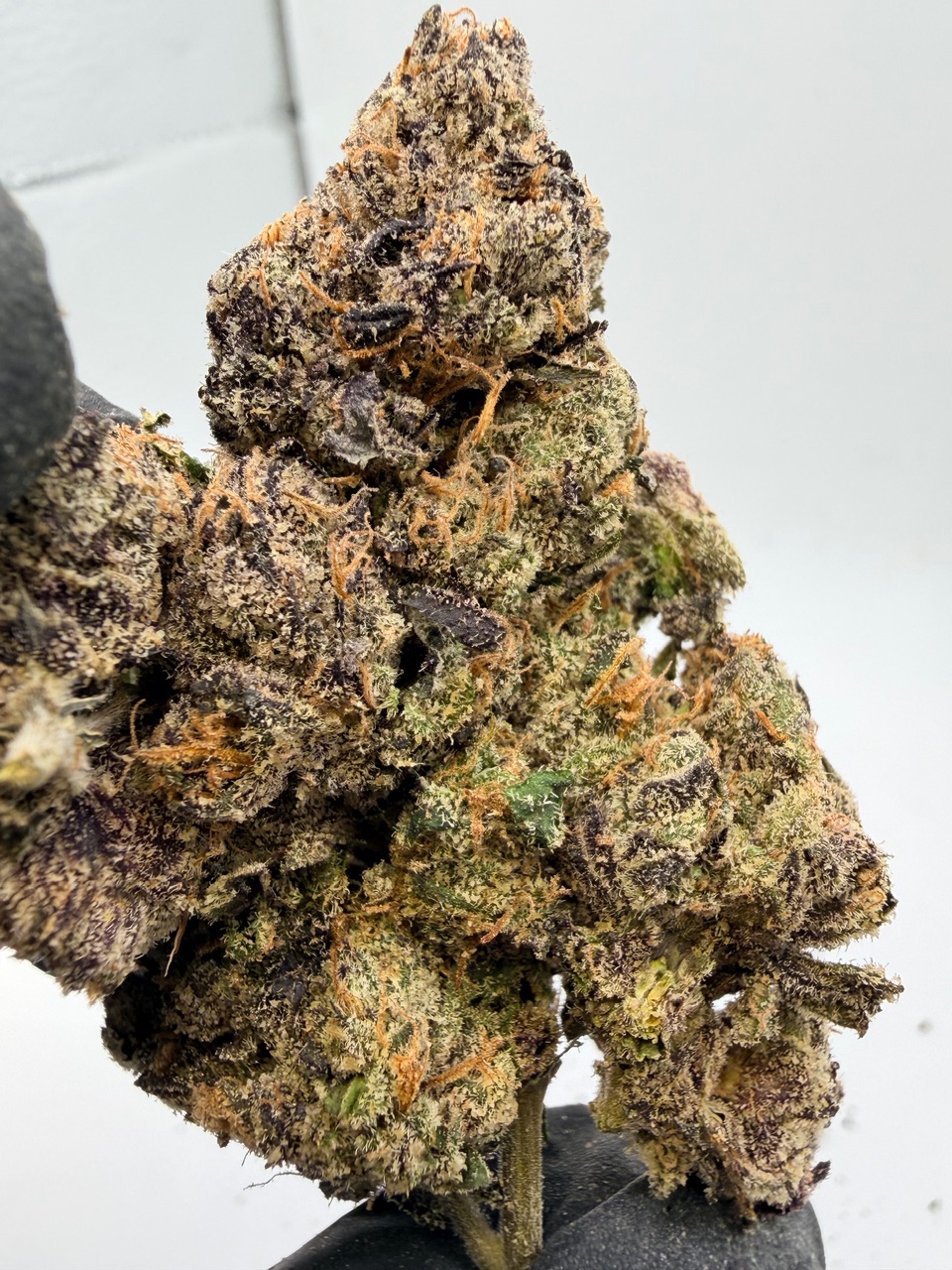 Fryday Kush Digital Art