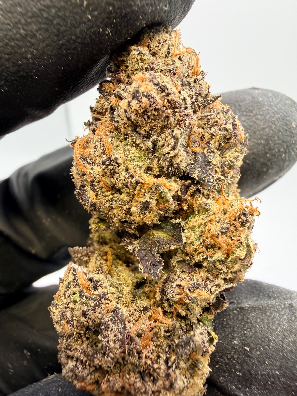 Fryday Kush Digital Art - Image 7