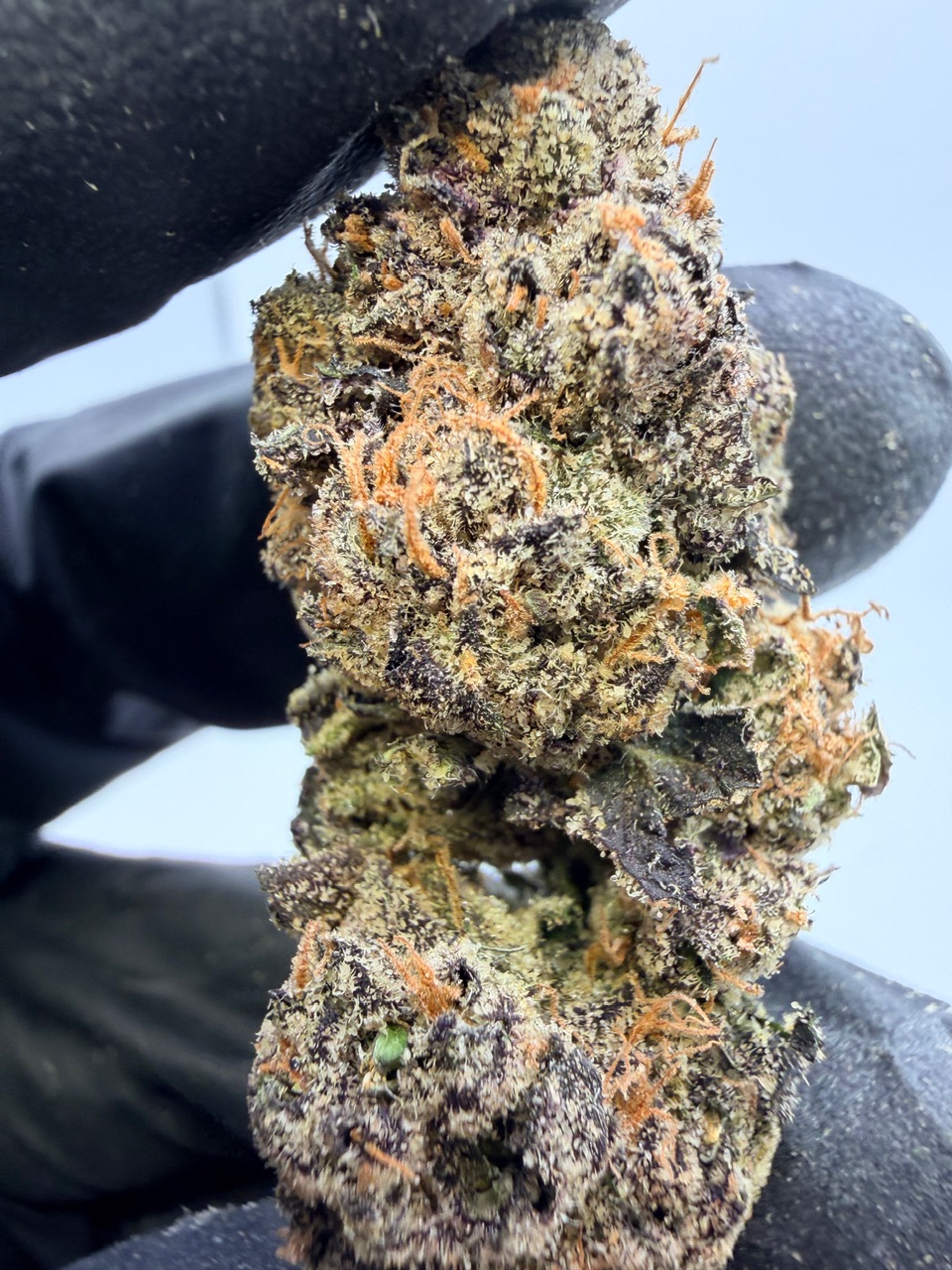 Fryday Kush Digital Art - Image 9