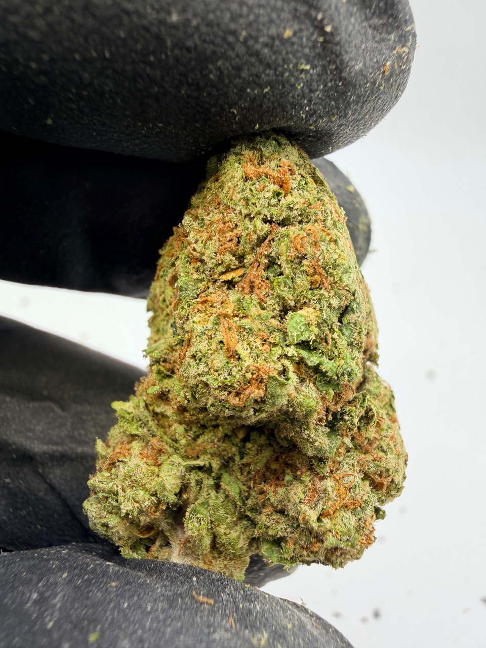 Zoap Digital Art - Image 3