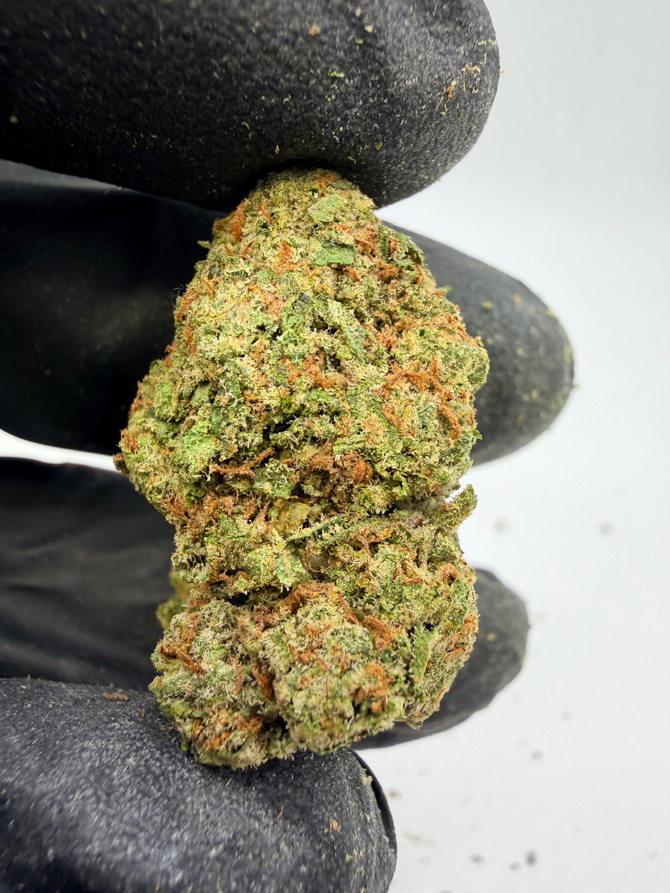 Zoap Digital Art - Image 2