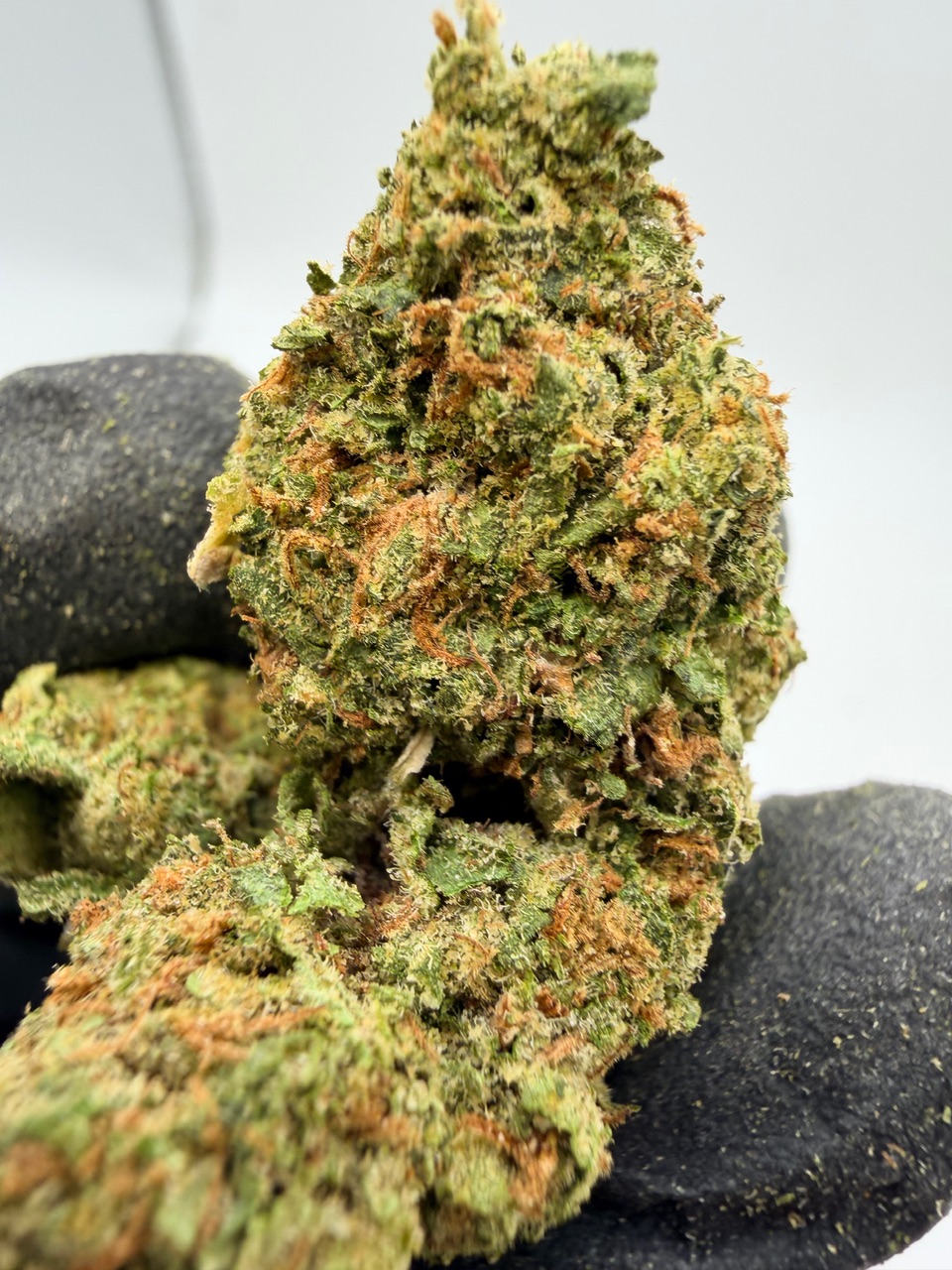 Zoap Digital Art - Image 4