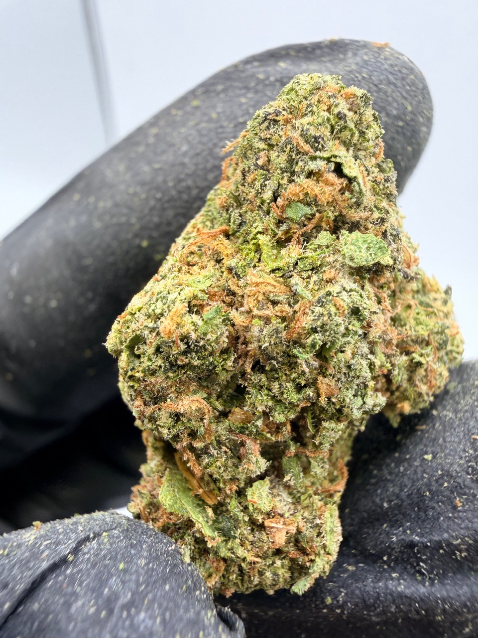 Zoap Digital Art - Image 6