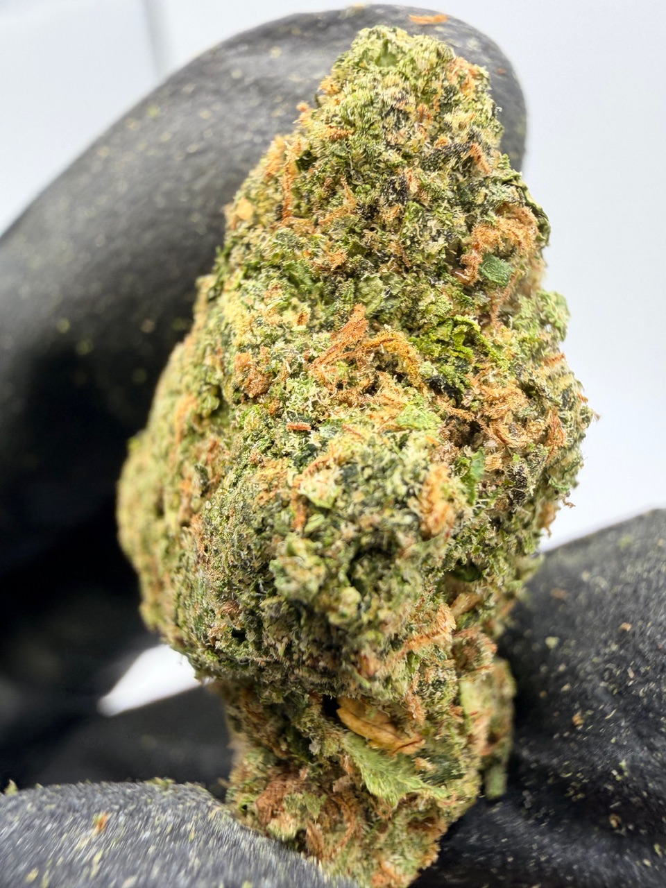 Zoap Digital Art - Image 5