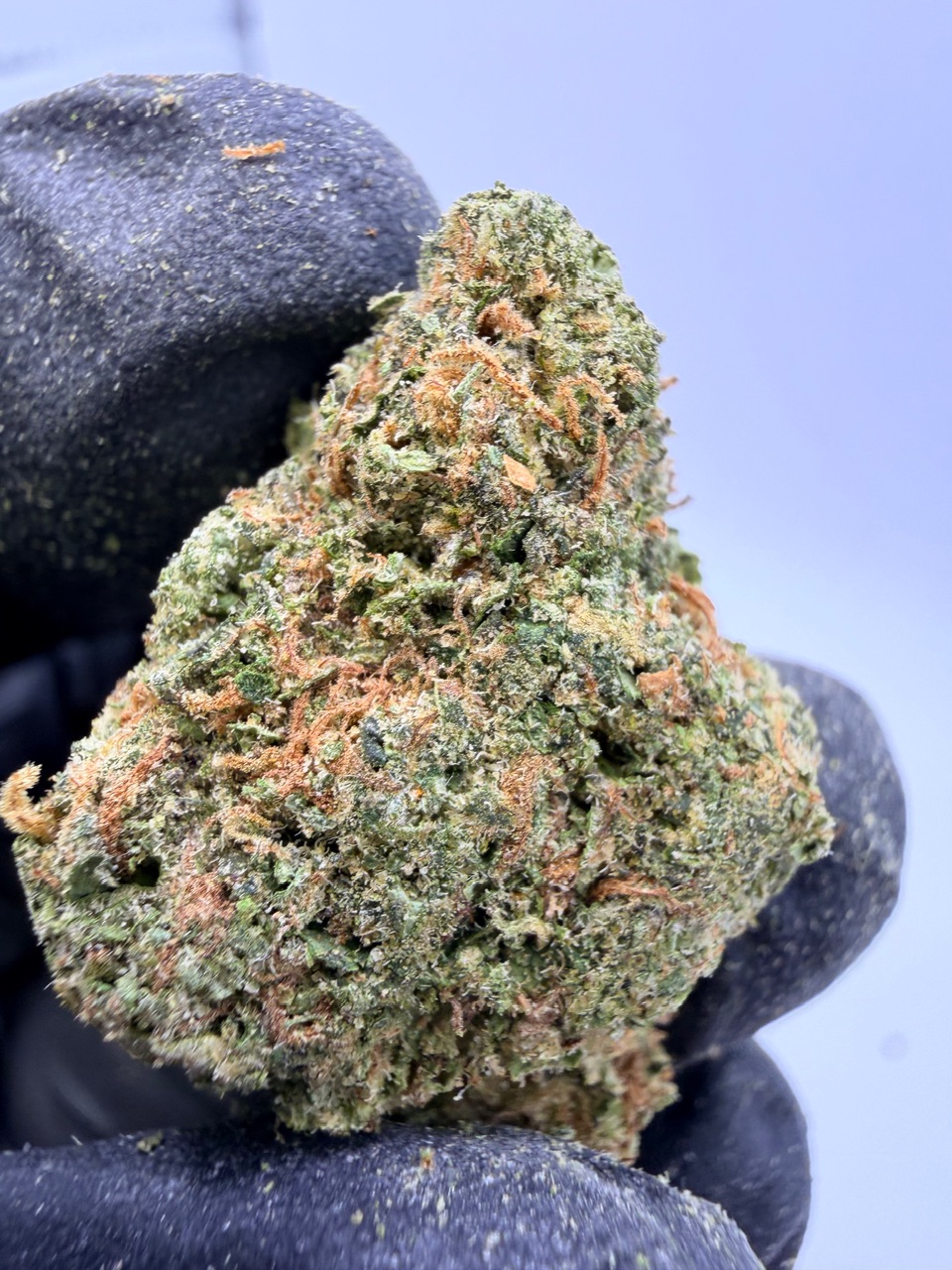 Zoap Digital Art - Image 8