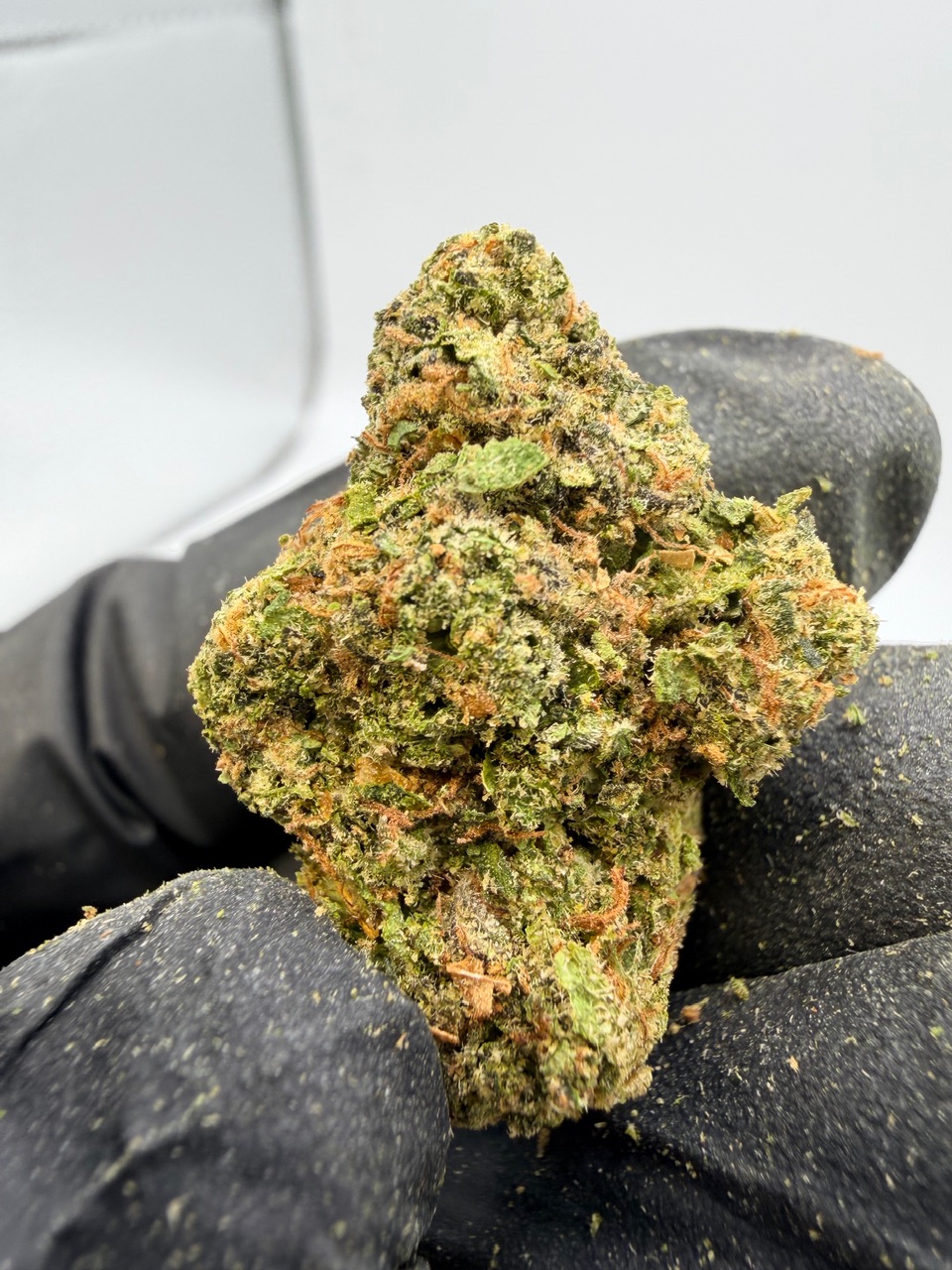 Zoap Digital Art - Image 9