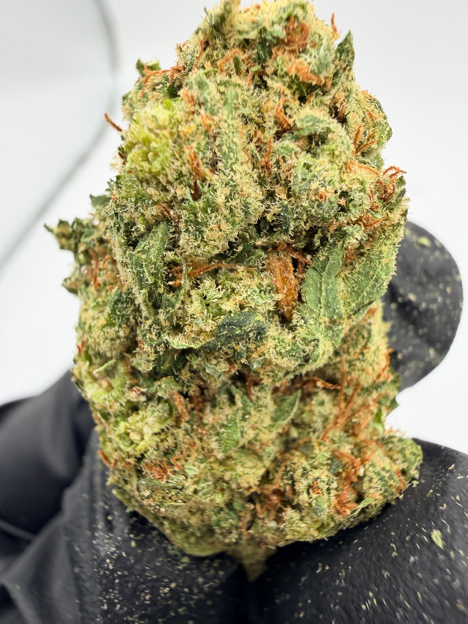 Super Jack Digital Art