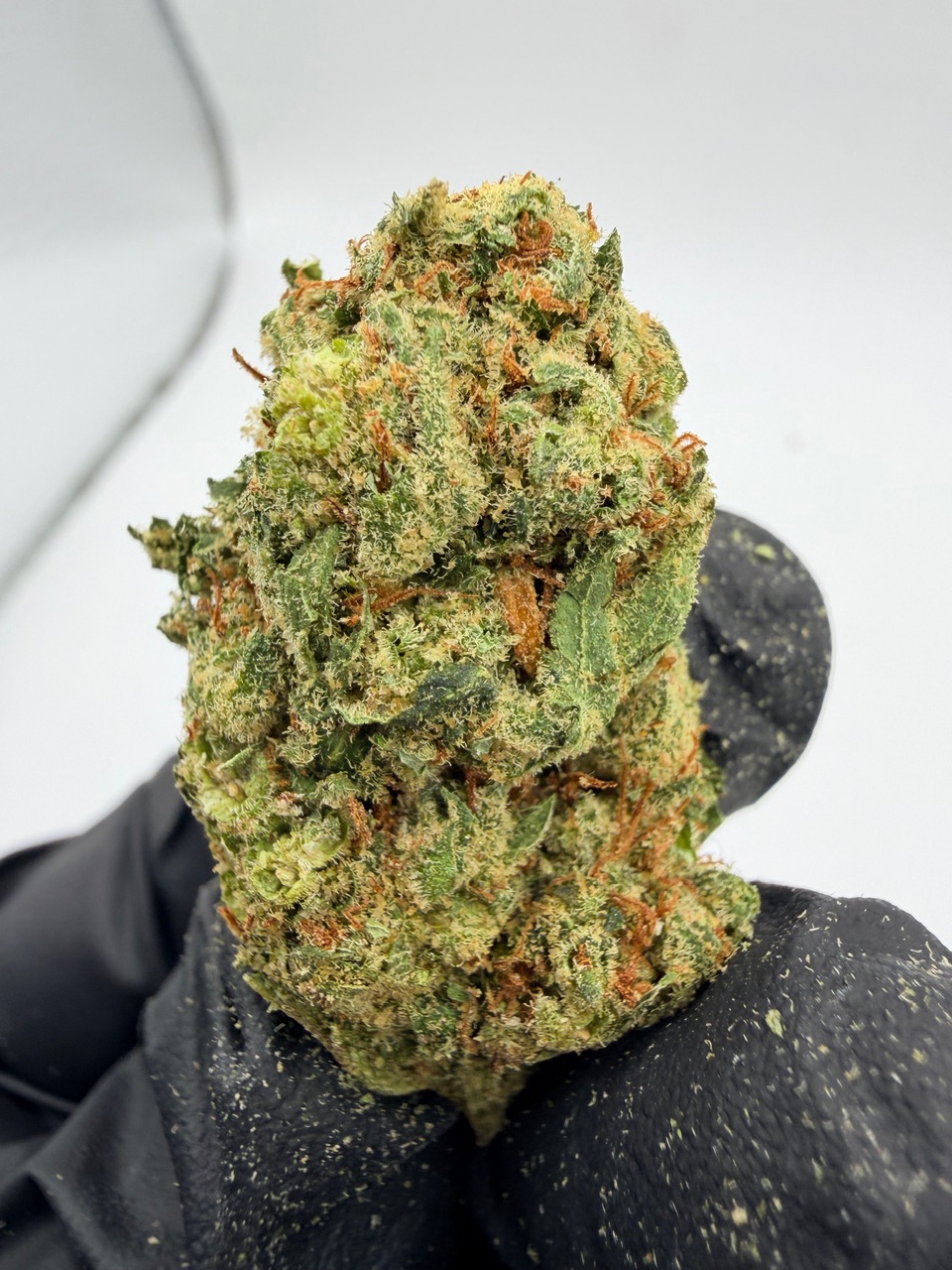 Super Jack Digital Art - Image 3