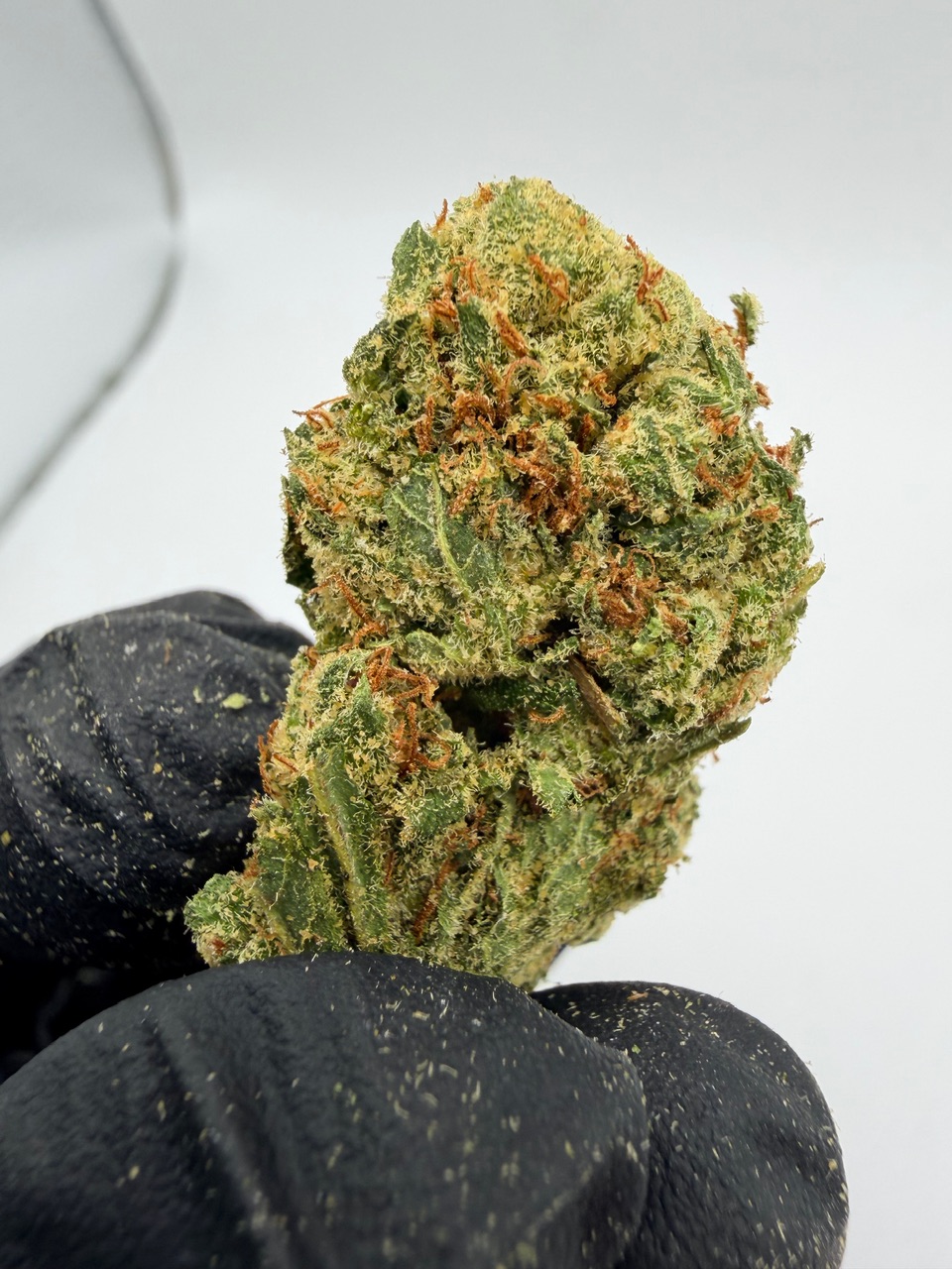 Super Jack Digital Art - Image 4