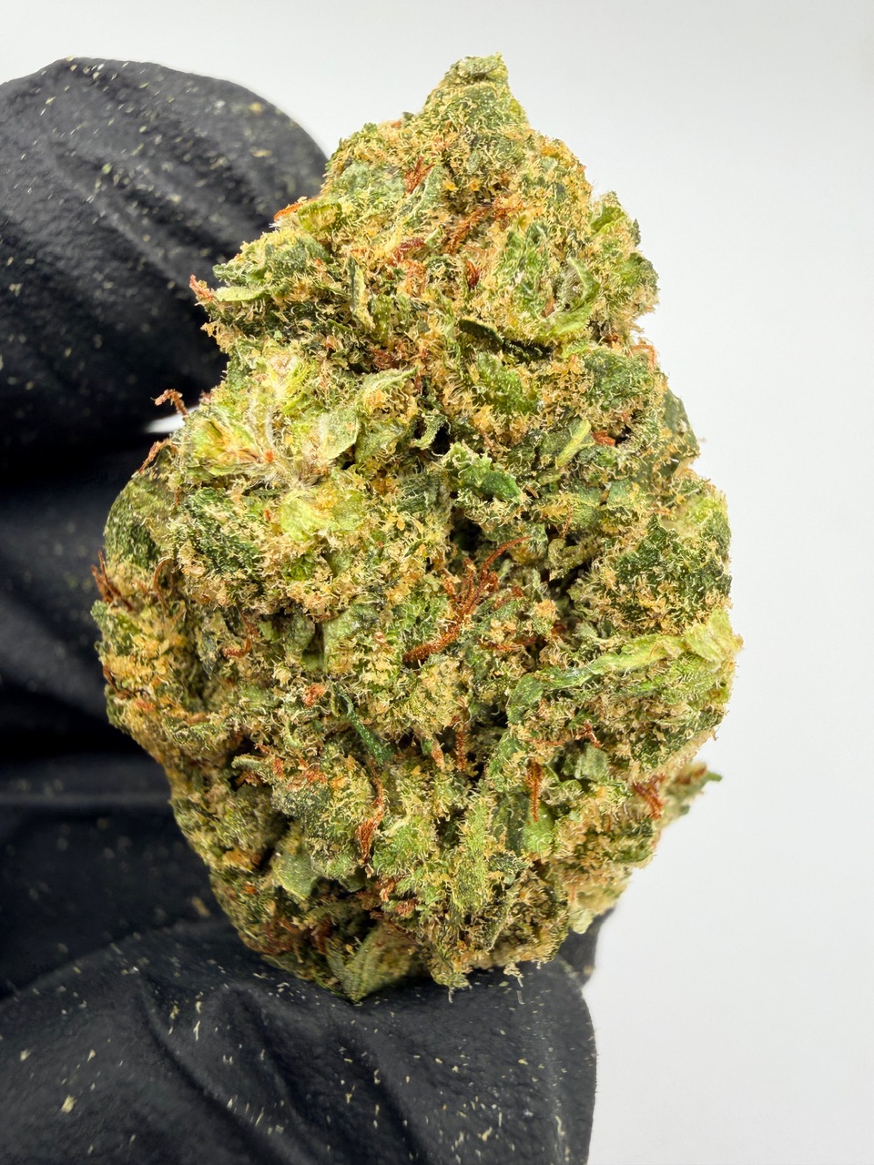 Super Jack Digital Art - Image 7