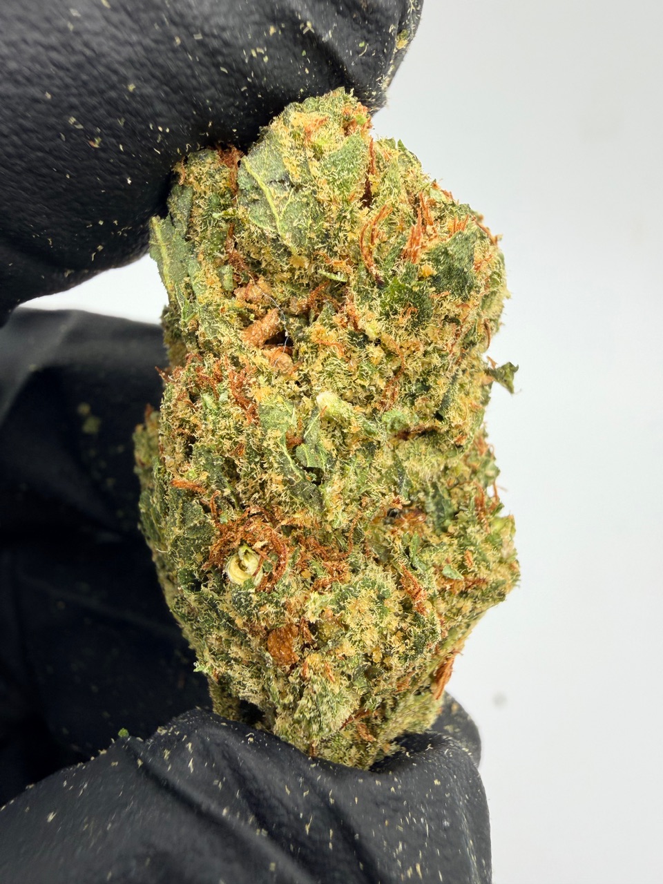 Super Jack Digital Art - Image 5