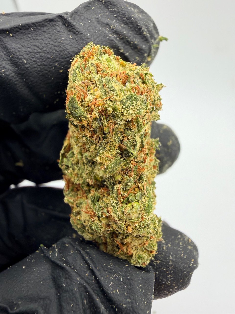 Super Jack Digital Art - Image 8