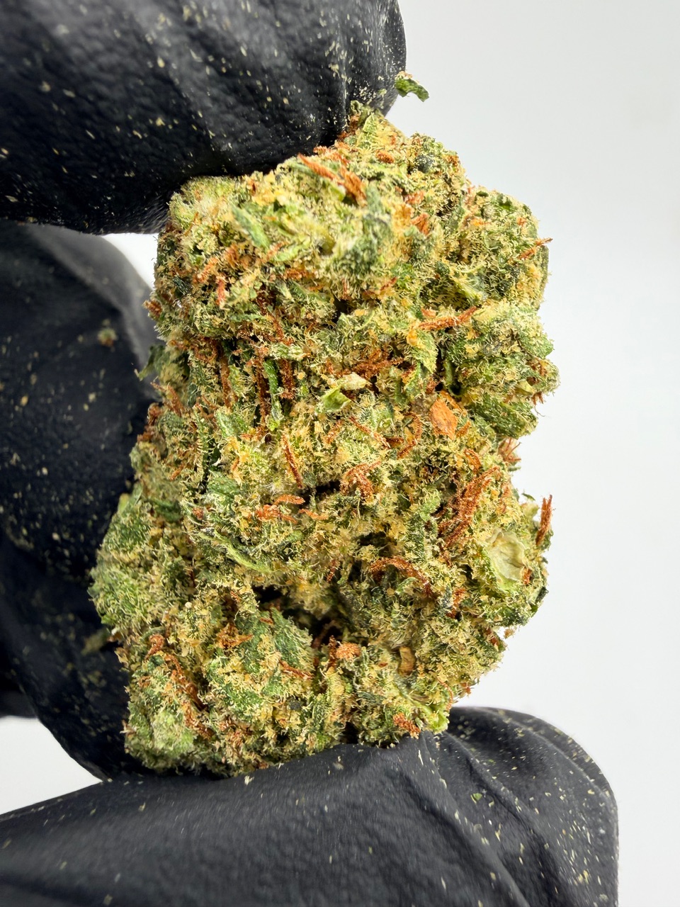 Super Jack Digital Art - Image 9