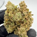 Trainwreck Digital Art