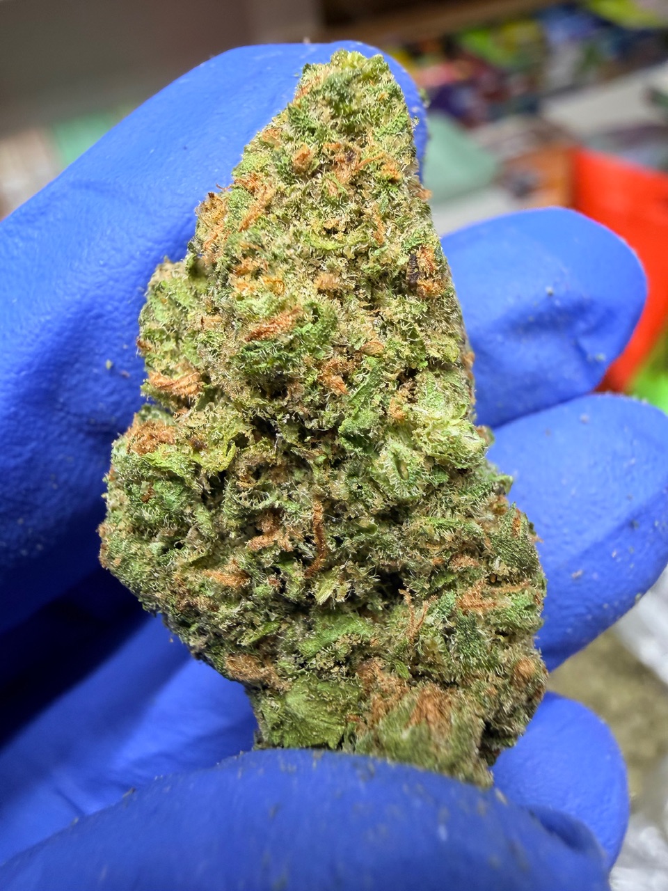 Jackfruit Digital Art - Image 2