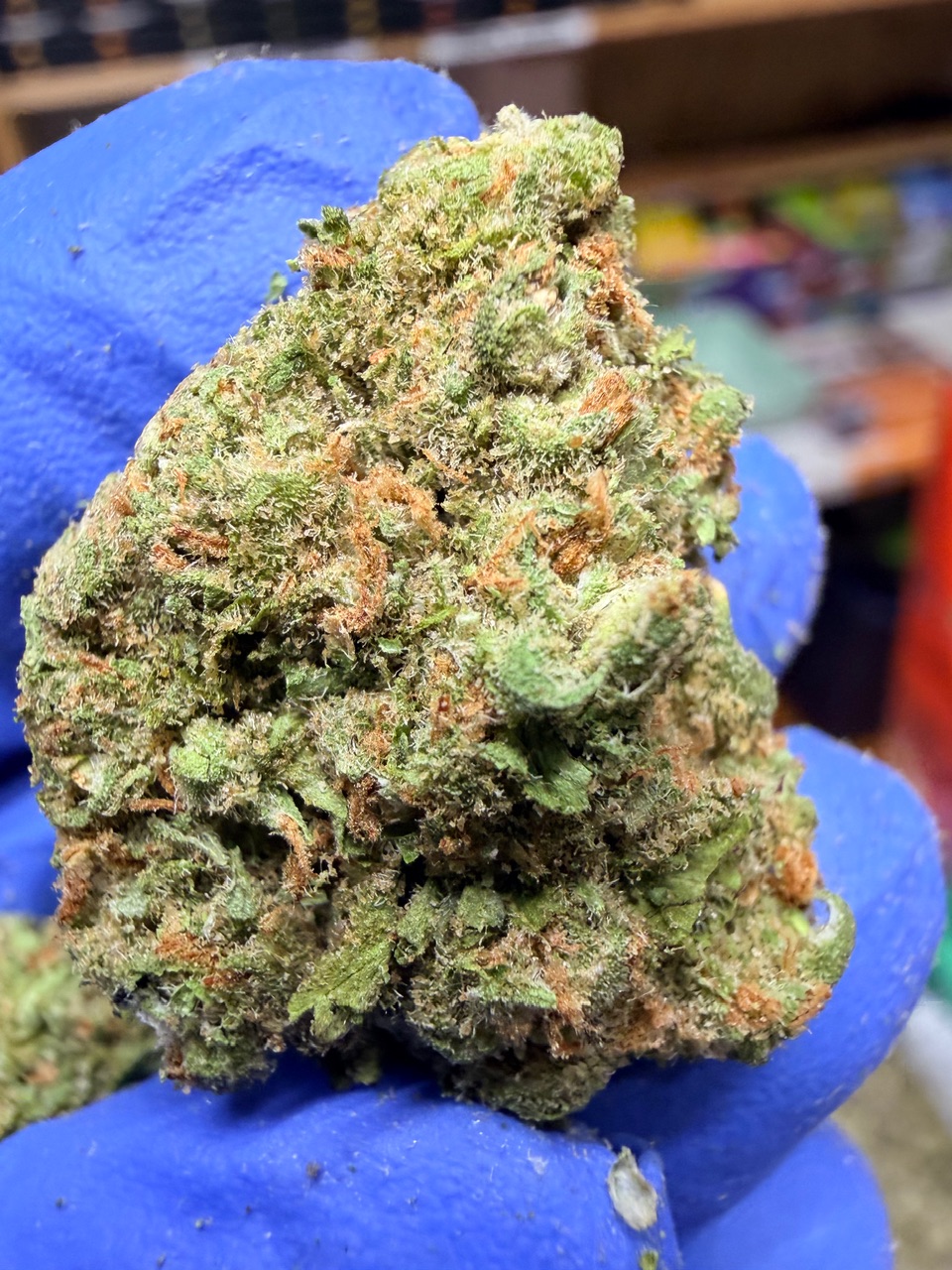 Jackfruit Digital Art - Image 4