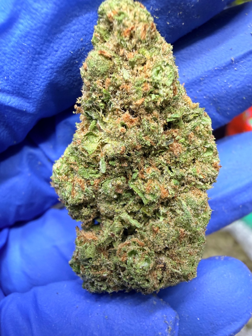 Jackfruit Digital Art - Image 6