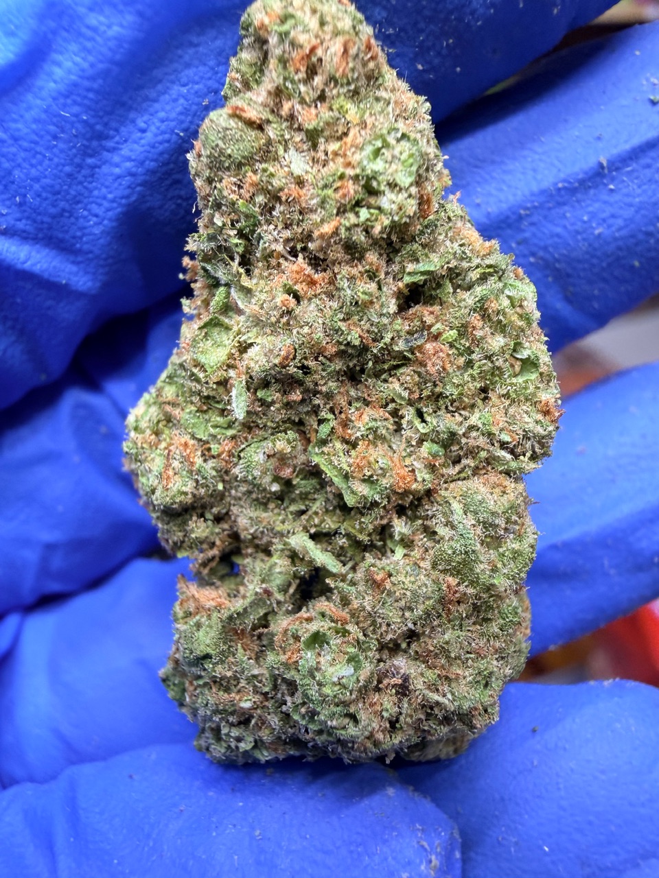 Jackfruit Digital Art - Image 5