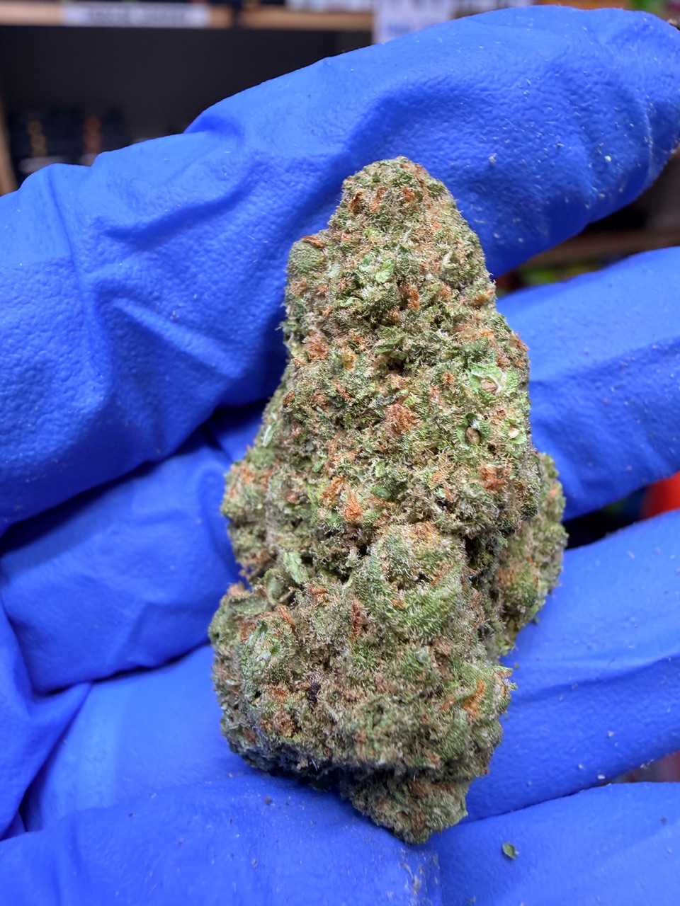 Jackfruit Digital Art - Image 8