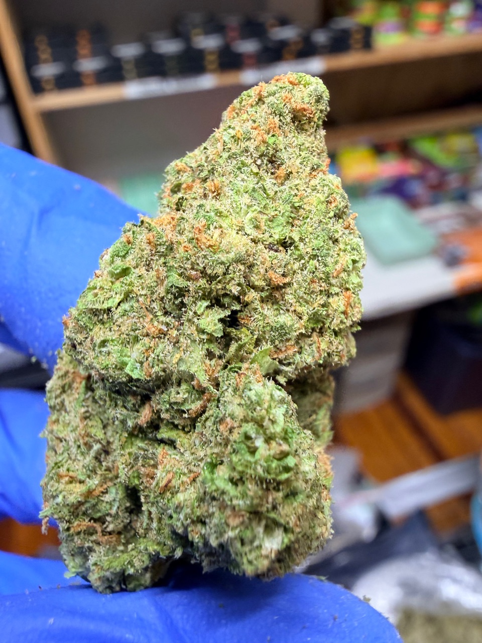 Jackfruit Digital Art - Image 9