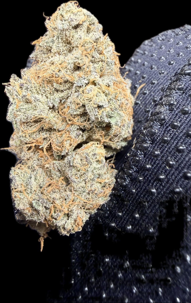 Rainbow Oreoz Digital Art - Image 7