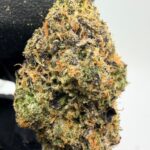 Tahiti Lime Digital Art