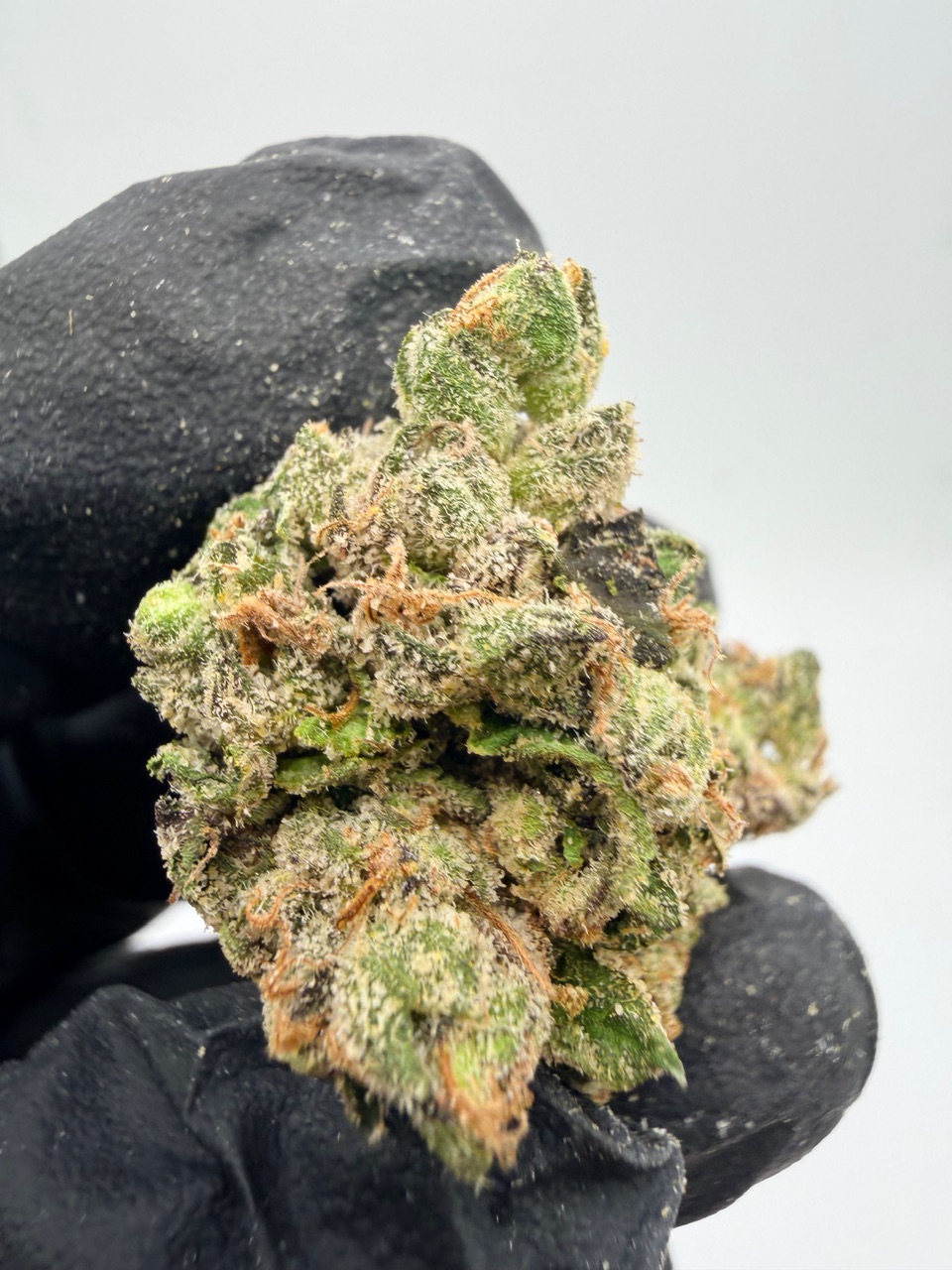 Blueberry Cloud Digital Art - Image 4