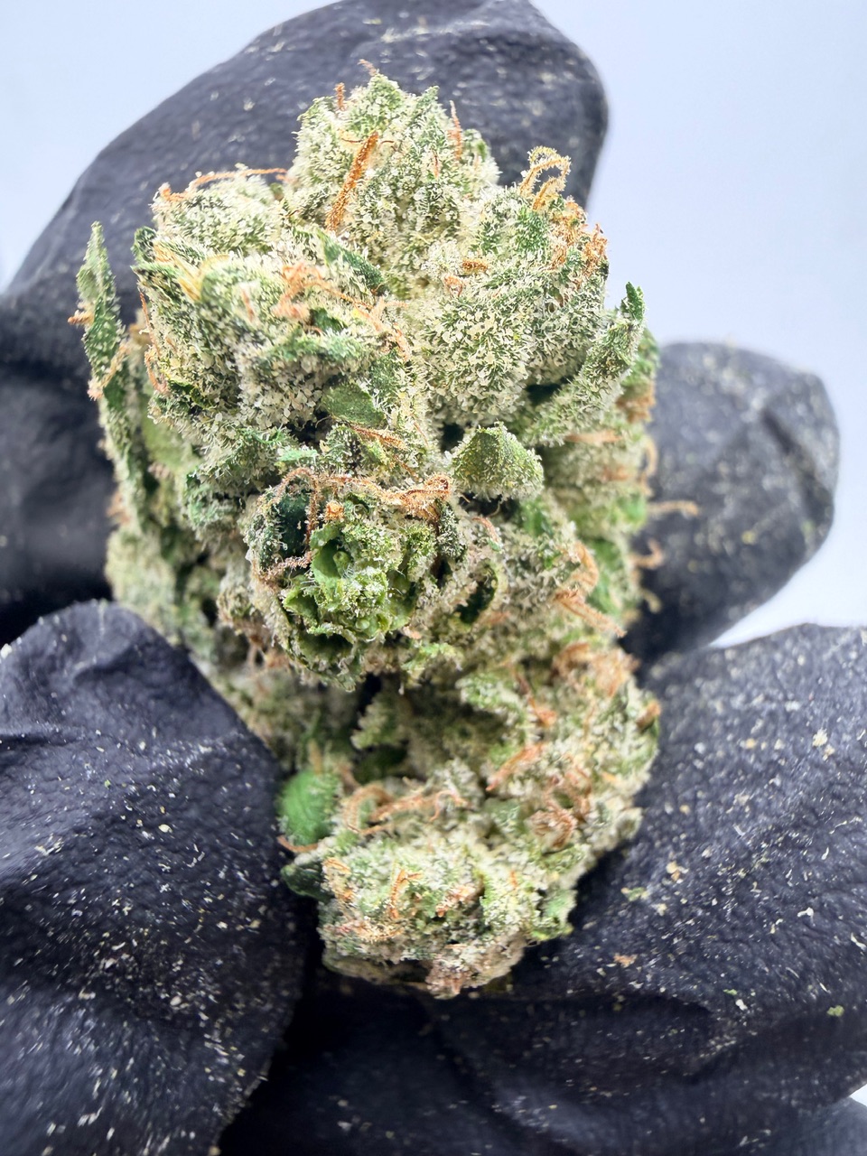 Blueberry Cloud Digital Art