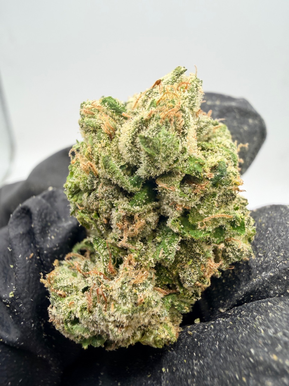 Blueberry Cloud Digital Art - Image 6