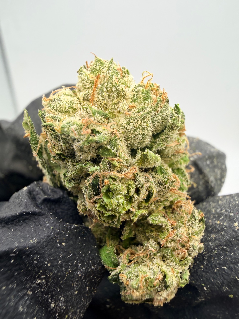 Blueberry Cloud Digital Art - Image 7