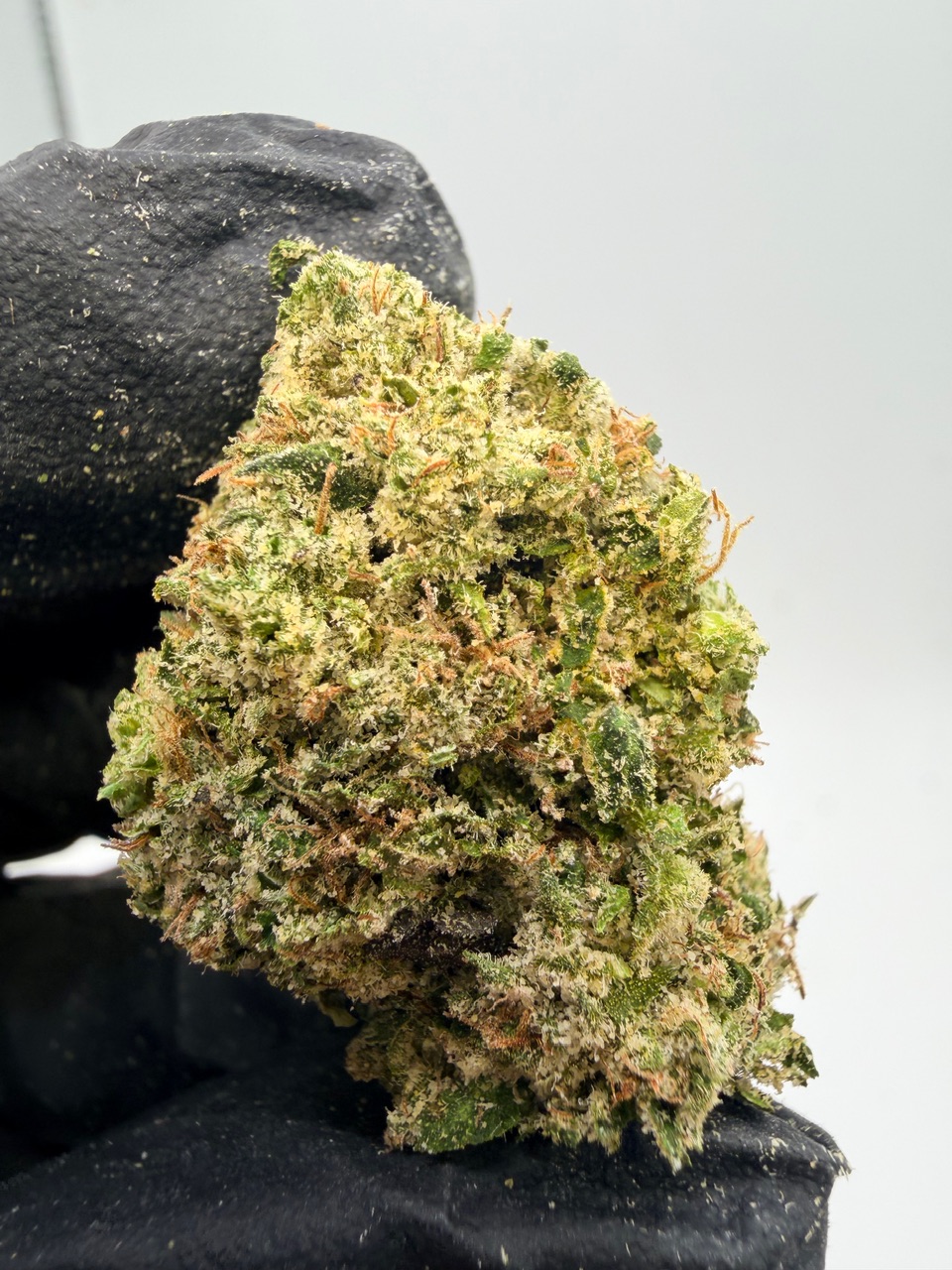 Blueberry Cloud Digital Art - Image 8