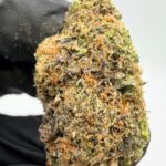 Death Star Digital Art