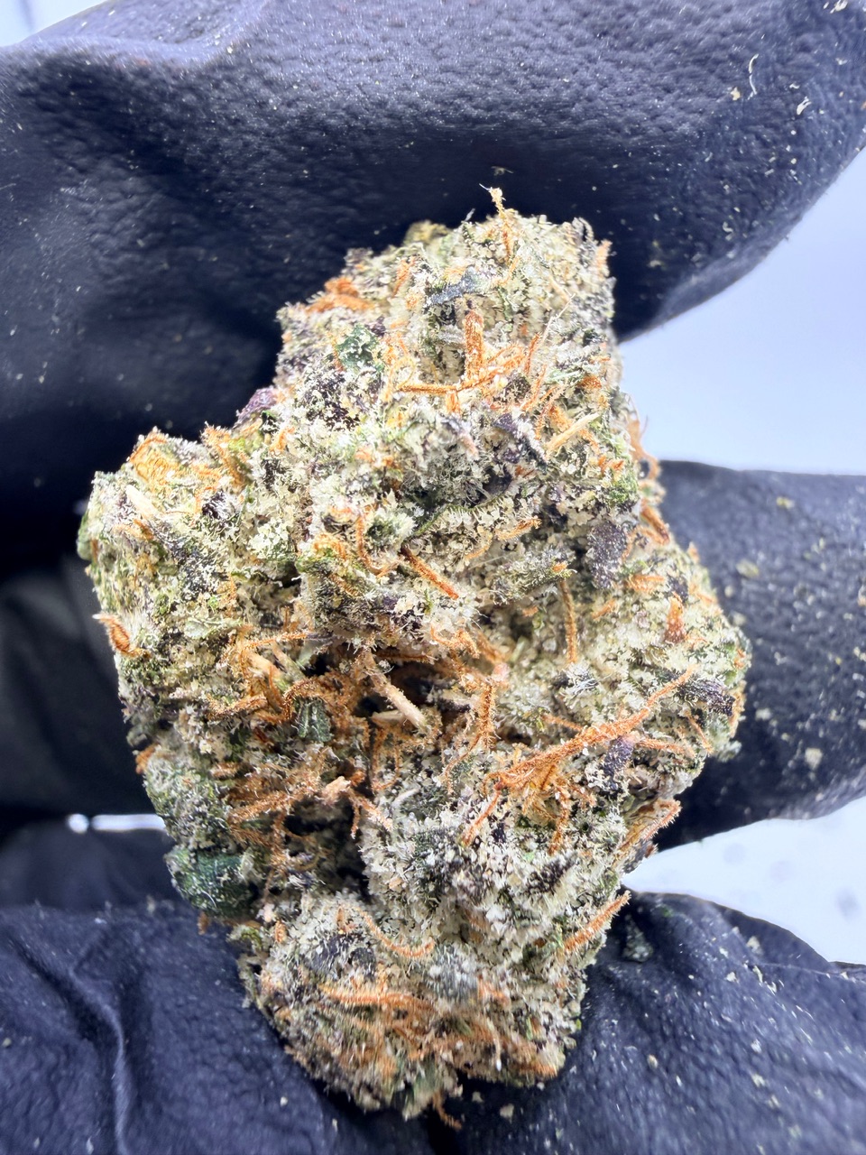 Uncle Snoop Digital Art - Image 2