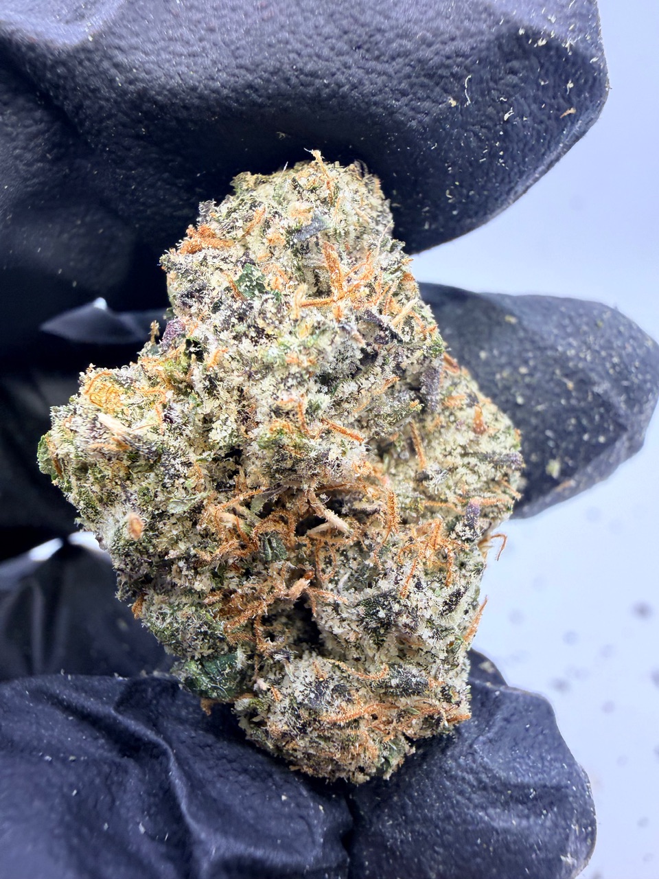 Uncle Snoop Digital Art - Image 3