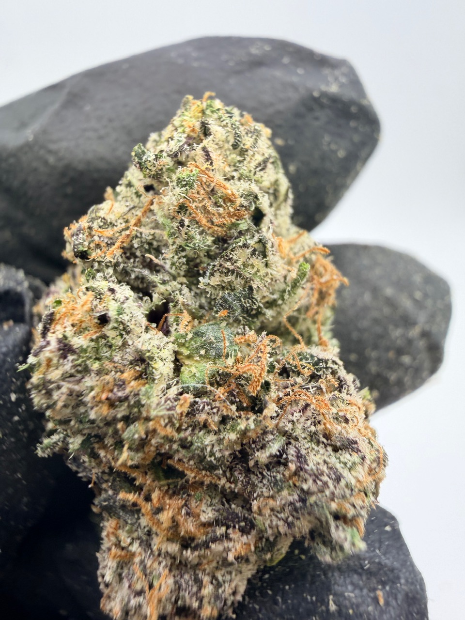 Uncle Snoop Digital Art - Image 5