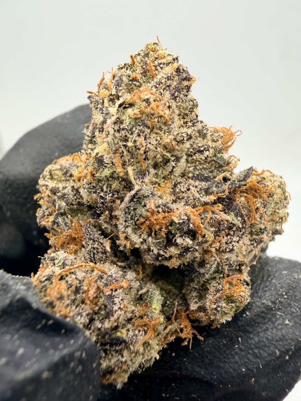 Uncle Snoop Digital Art - Image 10